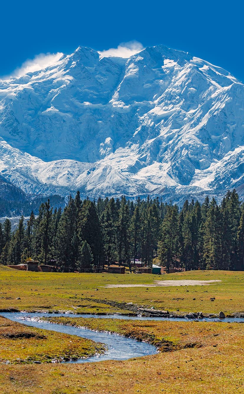 Karakoram Base Camp Trek
